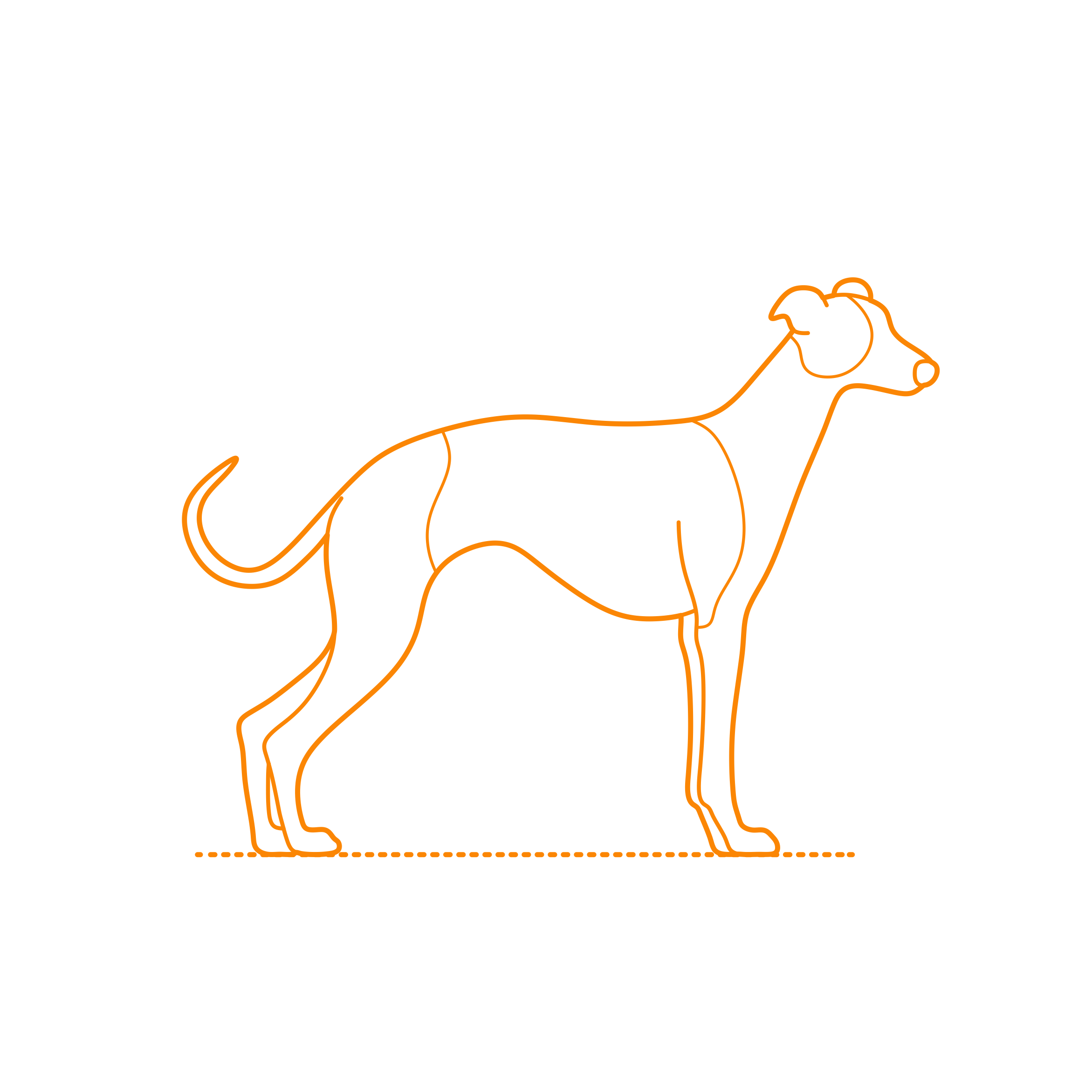Animals Dogs Whippet Outline Svg Vector Free Vectors